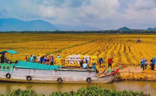 Ảnh bài viết