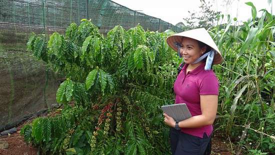 Ảnh bài viết