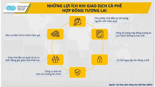 Giá cà phê biến động mạnh: Làm thế nào để người nông dân phòng ngừa rủi ro hiệu quả?