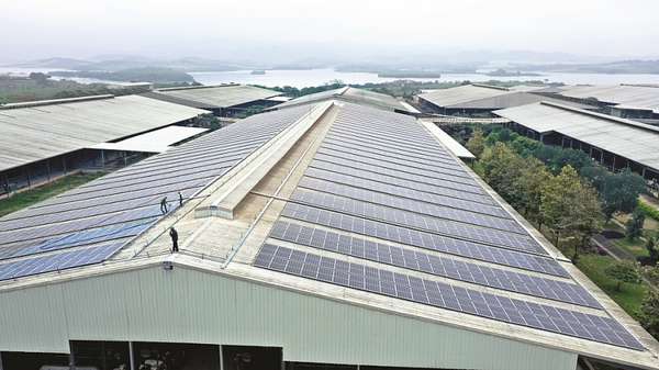 Hệ thống điện mặt trời trên mái các trang trại, nhà máy TH triển khai từ năm 2020, mỗi năm sản xuất khoảng 7 triệu kWh