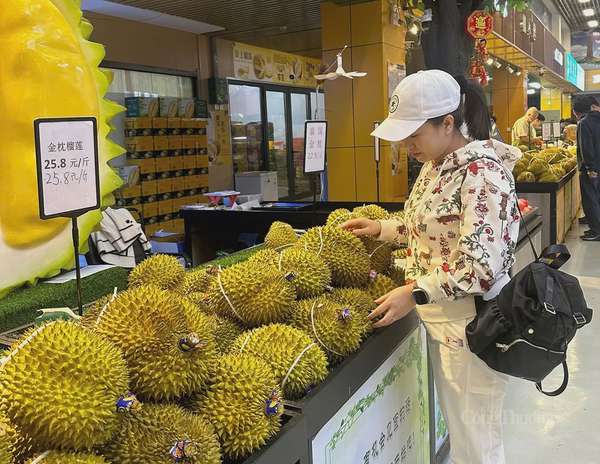 Xuất khẩu sầu riêng: Nhận định nào về đối thủ cạnh tranh?