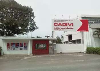Ảnh bài viết