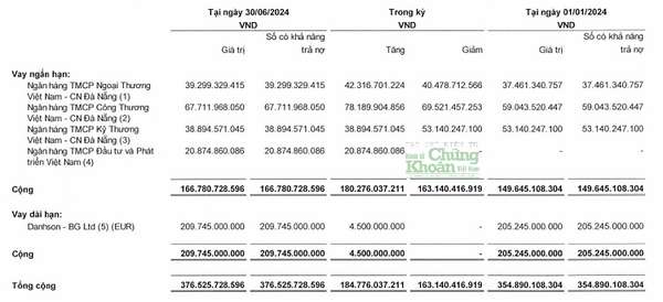 Tình hình nợ vay của Danapha