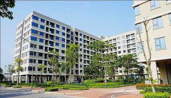 Ảnh bài viết