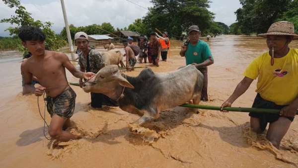 Ảnh bài viết