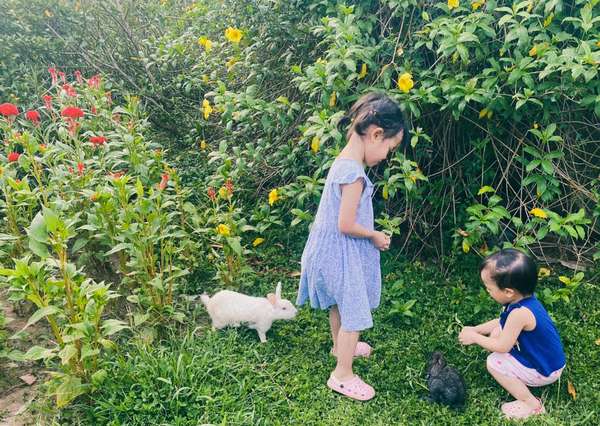 Các em bé nhà chị Diệu chơi cùng thỏ tại công viên Hồ Thiên Nga, KĐT Ecopark. Ảnh: Huyền Diệu