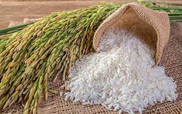 VNDirect chỉ ra cổ phiếu được hưởng lợi từ xu hướng tăng giá gạo xuất khẩu