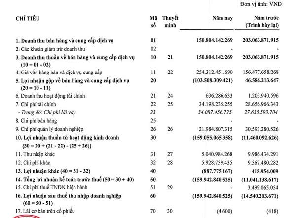 Thua lỗ triền miên, Sông Đà 6 (SD6) chây ỳ nợ BHXH