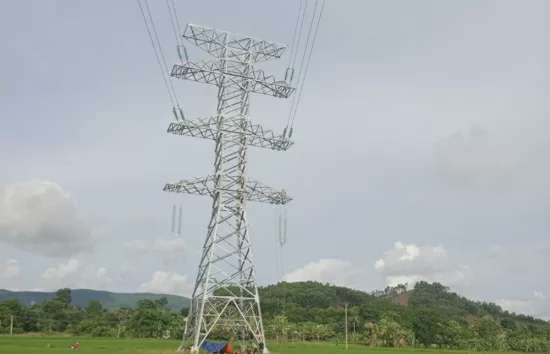 Vì sao Đường dây 220kV Nậm Sum – Nông Cống chậm tiến độ?