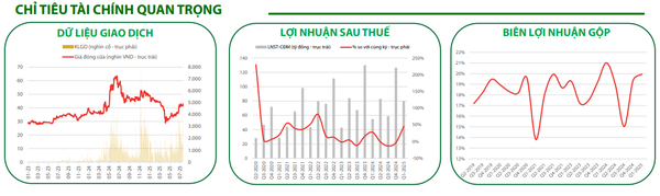 Chỉ tiêu tài chính quan trọng của CMG