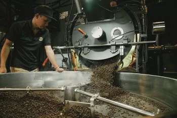 Giá cà phê hôm nay 29/5/2025, thị trường giảm mạnh