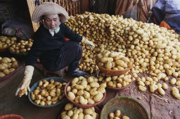 Ảnh bài viết