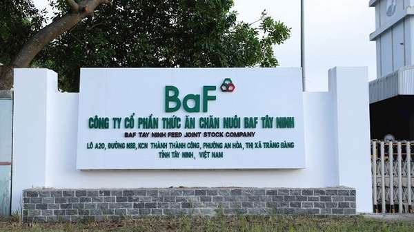BAF Việt Nam có quý đầu tiên báo lỗ kể từ khi niêm yết