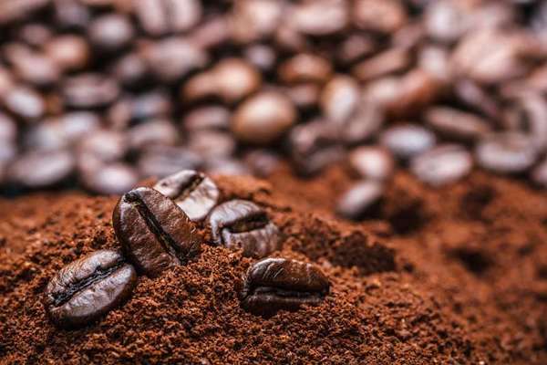 Giá cà phê hôm nay ngày 7/7/2023: Giá cà phê trong nước giảm 200 đồng/kg