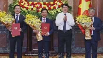 Ảnh bài viết