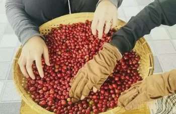 Ảnh bài viết