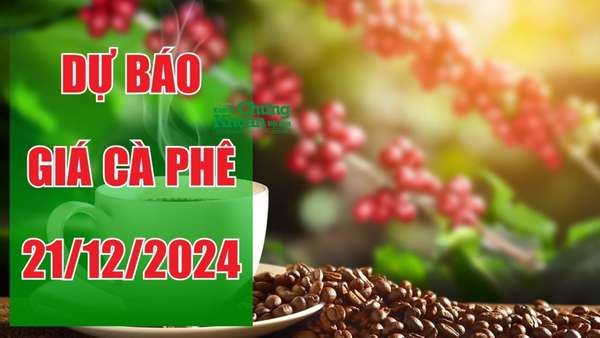 Dự báo giá cà phê ngày 21/12: Khả năng phục hồi sau chuỗi ngày giảm?