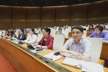 Ảnh bài viết