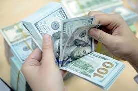 Các trường hợp người không cư trú được sử dụng ngoại hối trên lãnh thổ Việt Nam
