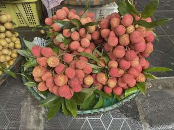 Ảnh bài viết