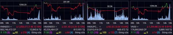 Chứng khoán sáng 11/9: Bán mạnh NVL, VN-Index mất mốc quan trọng 1.250