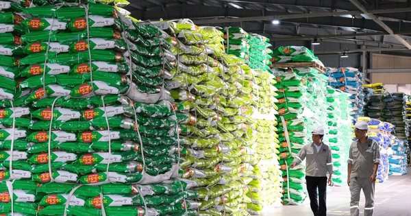 Cổ phiếu phân bón hóa chất 