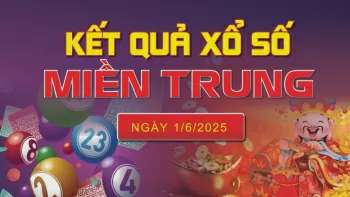 Ảnh bài viết