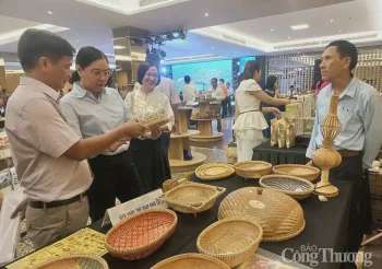 Ảnh bài viết