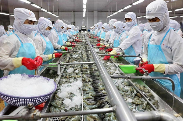 Cổ phiếu thủy sản 