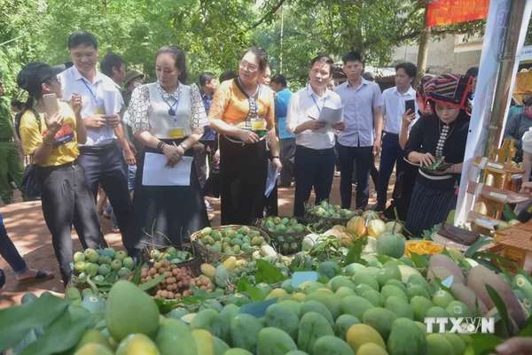 Ảnh bài viết