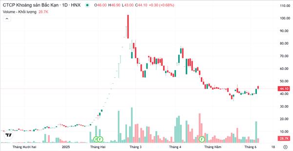 Diễn biến giá cổ phiếu BKC trên thị trường chứng khoán