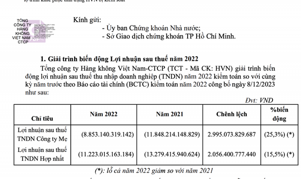 “Ông lớn” hàng không Vietnam Airlines - quán quân thua lỗ trên sàn chứng khoán