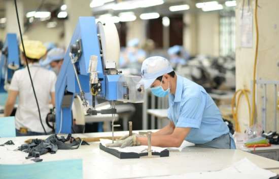 Tận dụng lợi thế từ nhập khẩu, đầu tư của EU trong EVFTA