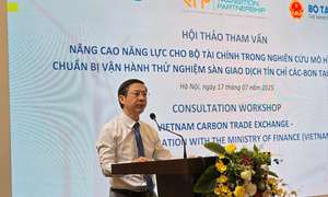 Ảnh bài viết