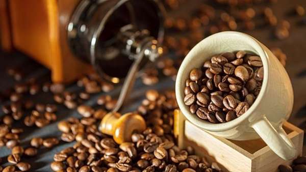 Giá cà phê hôm nay, 23/3: Giá cà phê trong nước tăng 600 đồng/kg