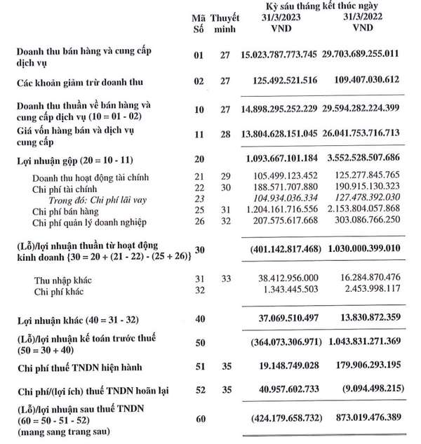 Cổ phiếu HSG của Hoa Sen bất ngờ bị cắt margin dù Chủ tịch từng khẳng định 