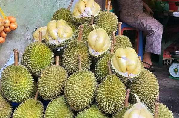 Giá sầu riêng hôm nay 16/11: Sầu riêng Thái Lan và Musang King 