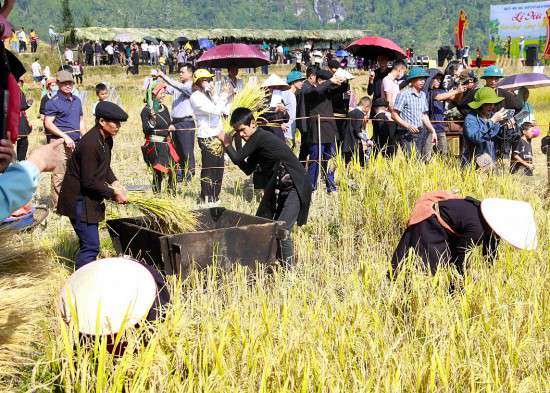 Hà Giang: Lễ hội Văn hóa, du lịch ẩm thực quốc tế lần thứ I sẽ diễn ra vào cuối tháng 3/2024