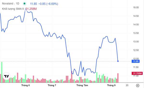 Diễn biến bất ngờ của cổ phiếu NVL (Novaland) sau khi bị cắt margin