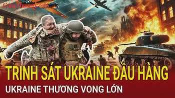 Ảnh bài viết