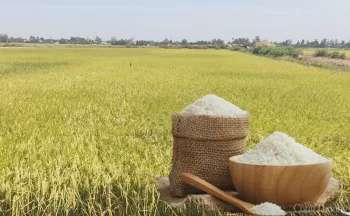 Ảnh bài viết