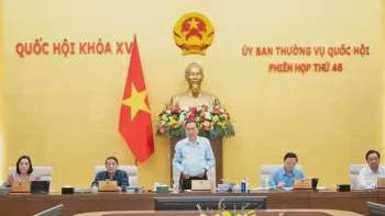 Ảnh bài viết