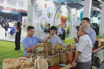 Ảnh bài viết