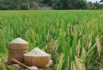 Ảnh bài viết