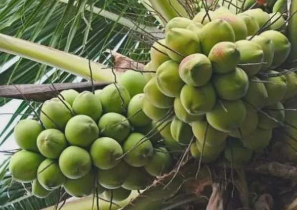 Ảnh bài viết