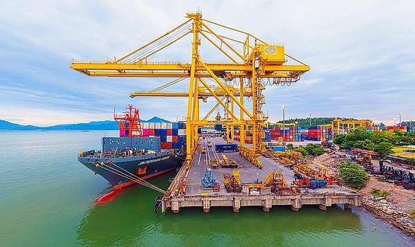 Cảng Đà Nẵng chi gần 140 tỷ đồng thanh toán cổ tức 2023