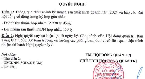 Xuất nhập khẩu Việt Phát (VPG) điều chỉnh tăng mạnh doanh thu, lợi nhuận dậm chân tại chỗ