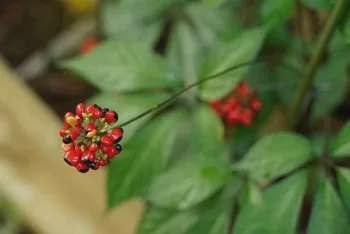 Ảnh bài viết