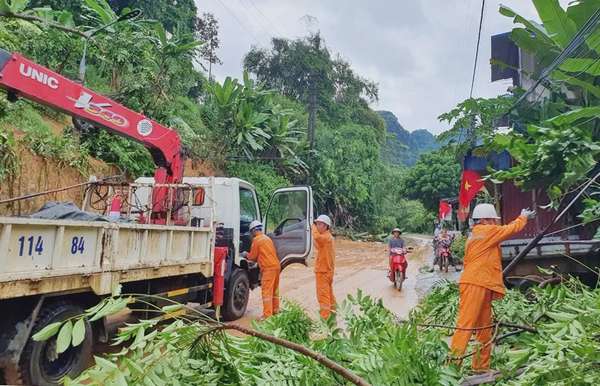 Ảnh bài viết