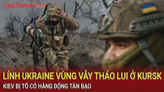 Ảnh bài viết